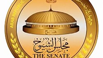 “إسكان الشيوخ” تبحث تسريع تشكيل المجالس المحلية المنتخبة الثلاثاء المقبل