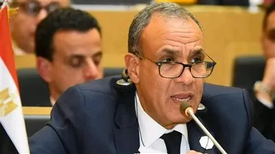 عضوية الاتحاد الأفريقي بمجموعة العشرين.. وزير الخارجية يستعرض رؤية مصر لتعزيز التنمية والاستقرار بالقارة