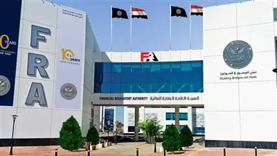 الرقابة المالية تطلق النسخة المحدثة للسجل المصري للضمانات المنقولة.. توسيع القيد للأفراد 