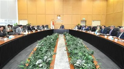 وزيرة الاسكان تشدد على الالتزام بالجداول الزمنية لإنجاز مشروع حدائق تلال الفسطاط 