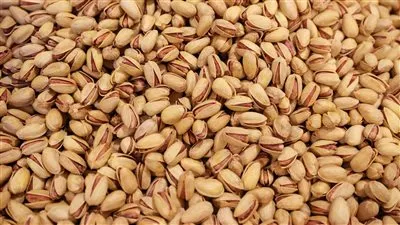 خطة مصرية لغزو سوق المكسرات.. فهل تنجح التربة المصرية في احتضان الفستق؟