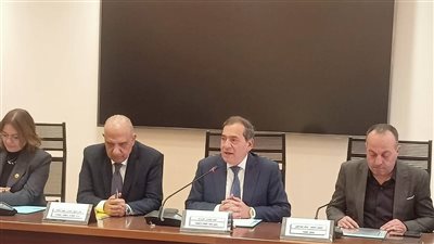 عصمت يطمئن البرلمان على استقرار الشبكة الكهربائية وتوفير التغذية لجميع الاستخدامات