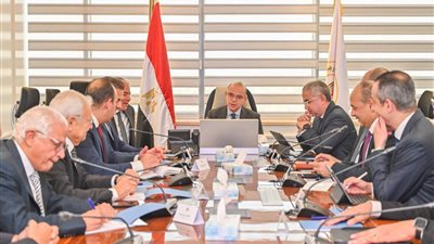 وزير الاستثمار يتابع تنفيذ منصة الكيانات الاقتصادية لتطوير بيئة الأعمال في مصر