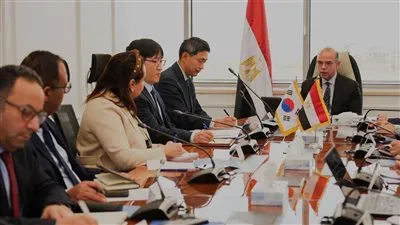 محمد فريد صالح: اتفاق الشراكة الاقتصادية مع كوريا الجنوبية سيدعم الاستثمار والتجارة