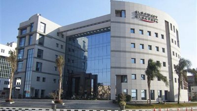 أرباح السويدي إلكتريك تتخطى 19 مليار جنيه خلال 2025 بدعم نمو الإيرادات لـ281 مليارًا