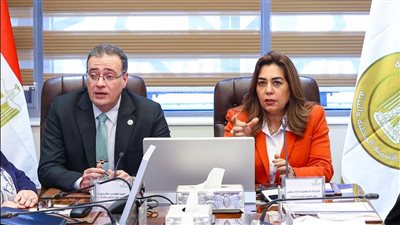 الانتهاء من الهيكل التنظيمي المحدث لوزارة التنمية المحلية والبيئة بعد دمج الوزارتين