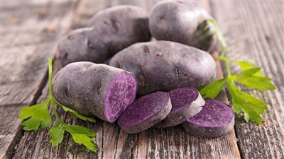 أغرب من الخيال.. كل ما تريد معرفته عن مشروع زراعة 