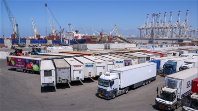 ميناء دمياط يستقبل شحنات قمح ضخمة لتعزيز المخزون الاستراتيجي