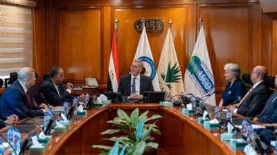 وزير البترول يكشف عن ثلاث أولويات رئيسية لقطاع البترول الفترة المقبلة