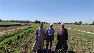 صرفت 8.2 مليون شكارة أسمدة.. الزراعة تواصل دعم الفلاحين خلال العيد