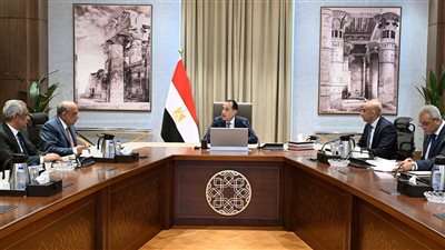 تحرك حكومي  لتعظيم قدرات 