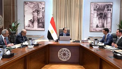  قبل عرضها على الحكومة.. رئيس الوزراء يكلف بسرعة الانتهاء من مبادرة تشجيع تركيب ألواح الطاقة الشمسية