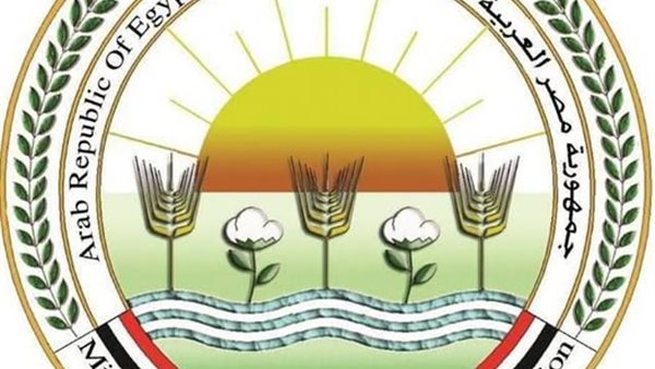 ذبح 7681 أضحية بالمجازر الحكومية مجانًا للمواطنين في ثالث أي    