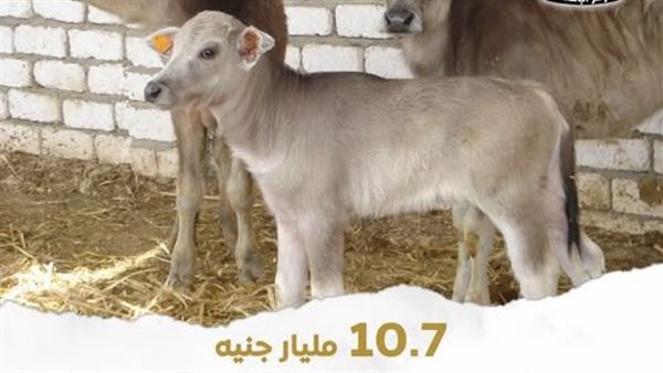 الزراعة: تمويل جديد
